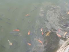 -桑干河大峡谷旅游区