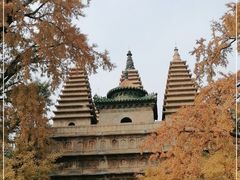 -北京石刻艺术博物馆(五塔寺)