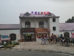-大塘金香草谷
