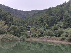 -旺山景区