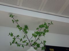 -极简口腔(总院)