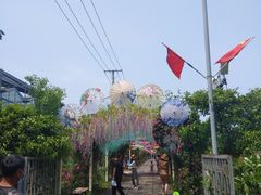 -上海长兴岛郊野公园