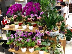 -城市之间超市(圆融星座店)