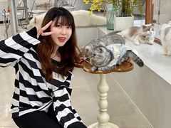 -共舞时光猫咖·狗咖(新街口店)