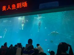 -福州罗源湾海洋世界旅游区