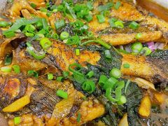 香煎特色木嫩鱼-建辉湖南土菜馆(南大街店)