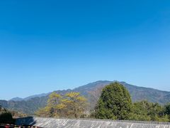 -庐山风景名胜区-东林大佛