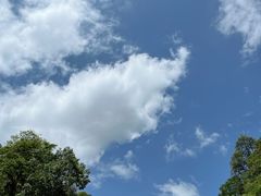 -龙苍沟森林公园