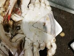 -悦巷海鲜自助铁板烧(秦皇东大街店)