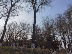 -中国农业博物馆