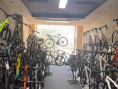 -道路口单车爱瓦士dahon大行