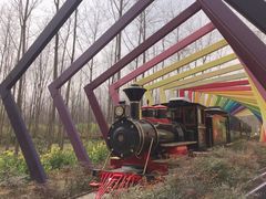 -合肥滨湖国家森林公园