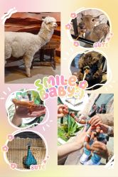 -酷嗒动物文化乐园(cutezoo西溪乐天城店)