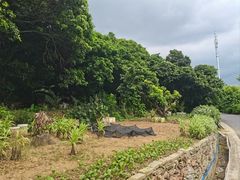 -艾米稻香小镇