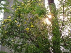 -北京小汤山医院体检中心