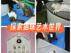 -PO PARK东方宝泰
