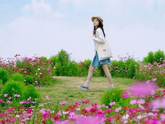-空港花田景区