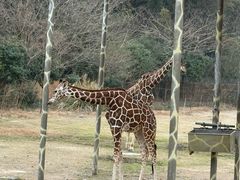 -宁波野生动物园