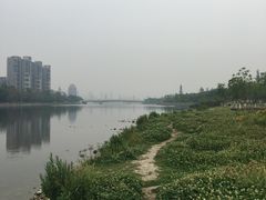 -眉山湿地公园(东坡区)