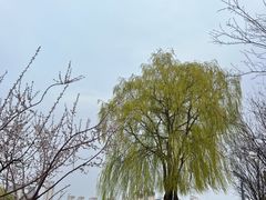 -河北省园博园