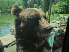 -北京野生动物园