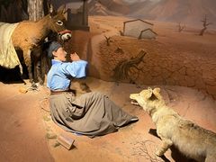 -陕西自然博物馆