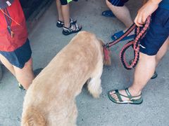 -安吉龙王山峡谷漂流