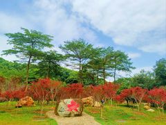 -广州市帽峰山景区
