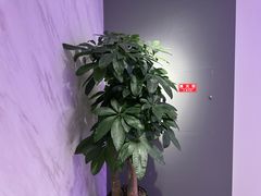 -W·24H茶楼·棋牌·掼蛋(望京店)