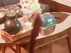 -纳吉亚猫专科动物诊疗中心(蒋宅口分院)