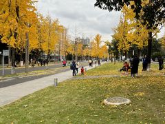 -四川大学(望江校区)