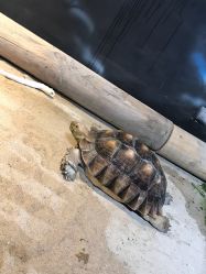 -酷嗒动物文化乐园(cutezoo西溪乐天城店)