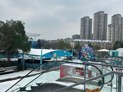 -海合安武汉极地海洋公园