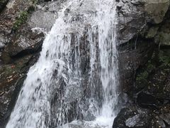 -藏龙百瀑风景区