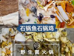 -云南野生菌石锅鱼石锅鸡(大金塔店)