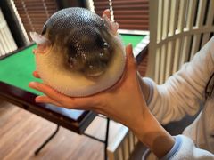 -永安鱼庄·镇江菜(东吴路店)