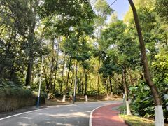 -火炉山森林公园