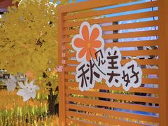 -顺联广场(陈村店)