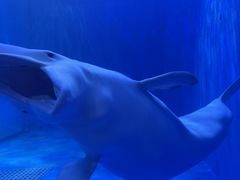 -多彩贵州城极地海洋世界