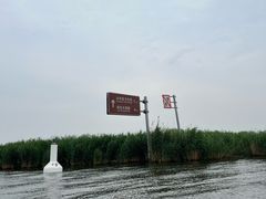 -白洋淀景区