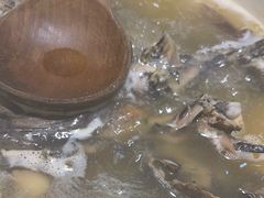 -黑鸡小馆(金源店)