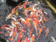 -顺德了能馆(虎门店)