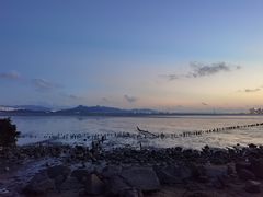 -深圳湾公园(南山区)