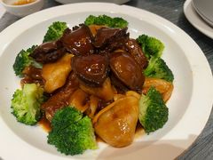 花胶鲍鱼-藜苑酒家·粤菜·茶点·聚会包间