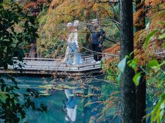 -云溪植物园