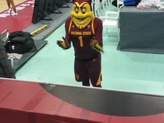 -苏州高新区文体中心体育馆