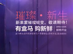 -盒马鲜生(莱蒙都会店)