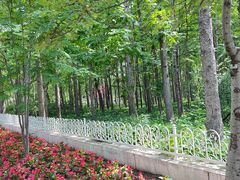 -黑龙江省森林植物园
