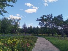 -长春公园(普阳街道)