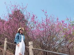 -天台山赤城山景区